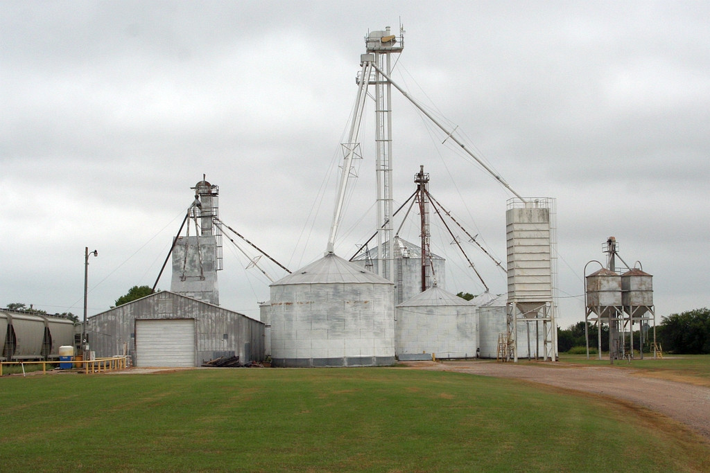 older grain plant